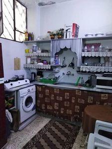طابو أخضر
