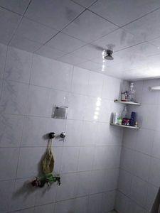 طابو أخضر