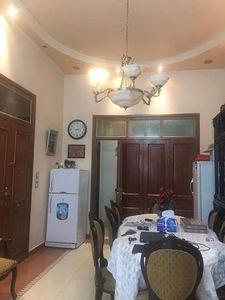 طابو أخضر