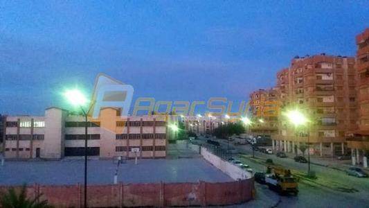 طابو اخضر بريء الذمة