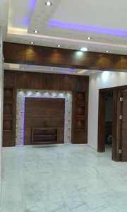 طابو اخضر بريء الذمة