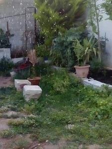 اطلالة رائعة