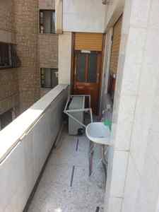 طابو اخضر