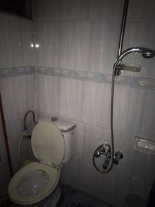 طابو اخضر