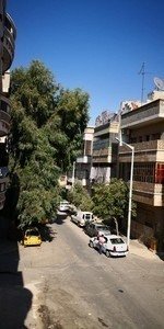 طابو اخضر