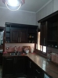 طابو اخضر