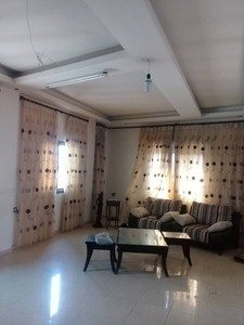 طابو اخضر