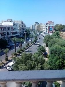 طابو اخضر