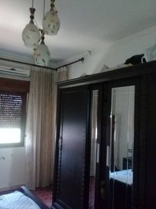 طابو اخضر