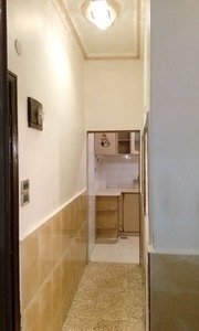 طابو اخضر