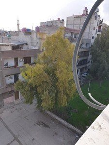 شقه العمر