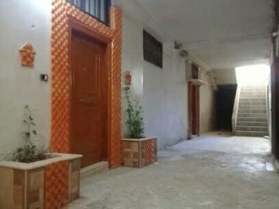 طابو اخضر