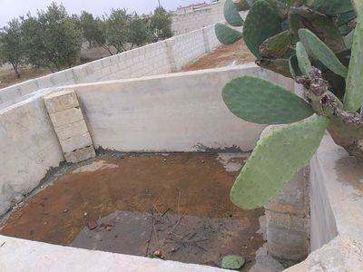 مزرعه للبيع