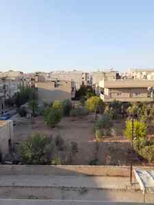 شقه على العضم