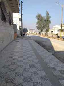 شقه طابو اخضر للبيع