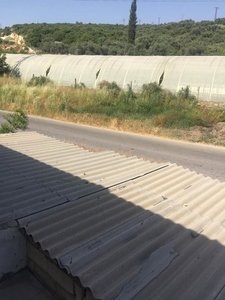 ارض طابو اخضر