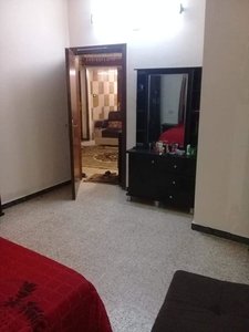 شقه اكساء جديد