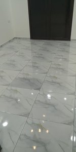 شقه اكساء ممتاز