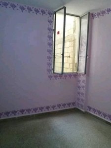 شقه اكساء جيد