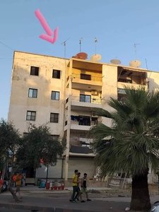 شقه طابو اخضر للبيع