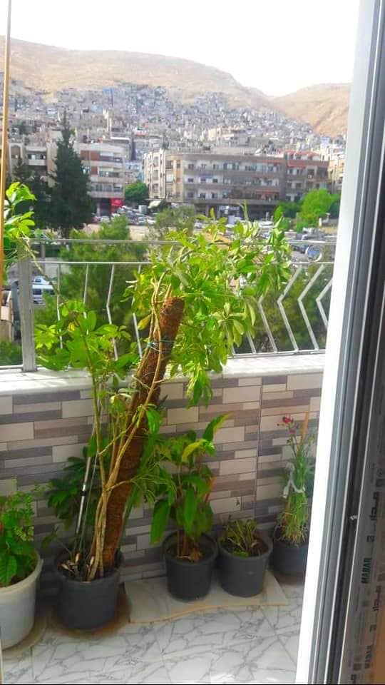 شـقـة سـكـنـيـة بـدمـشــق – تسليم فوري, اطــلالــة روعــة مـوقــع مـمـيـز