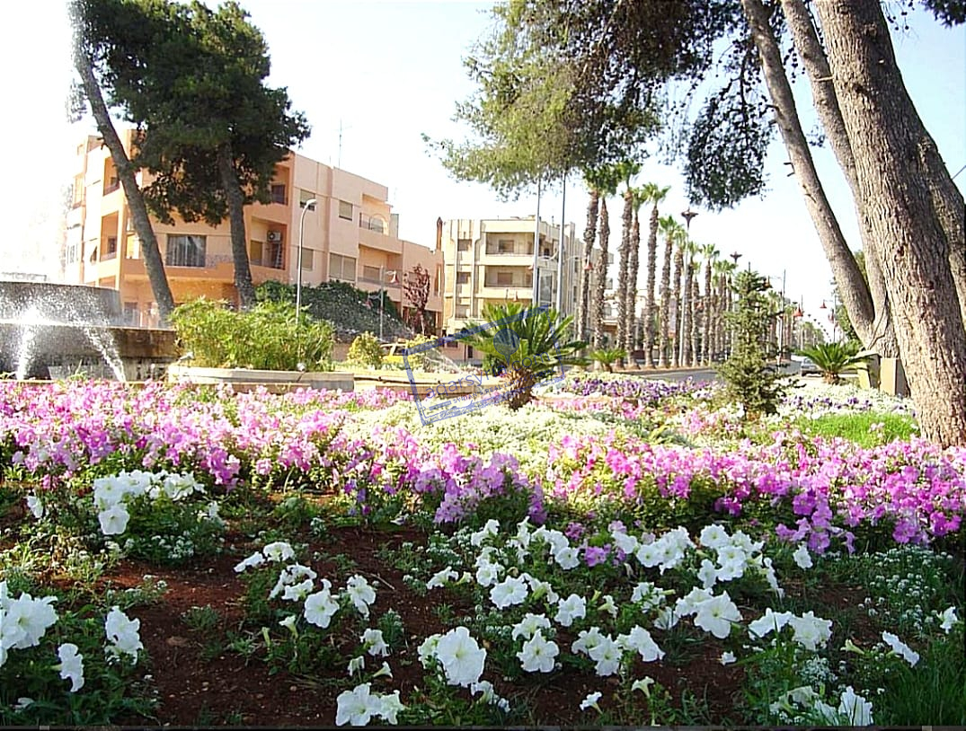 شقة مميزة للبيع … منطقة الحمرا أرقى شارع بمدينة حمص