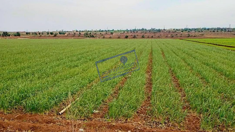 أرض سكنية/زراعية للبيع بموقع استثماري واعد طابو اخضر