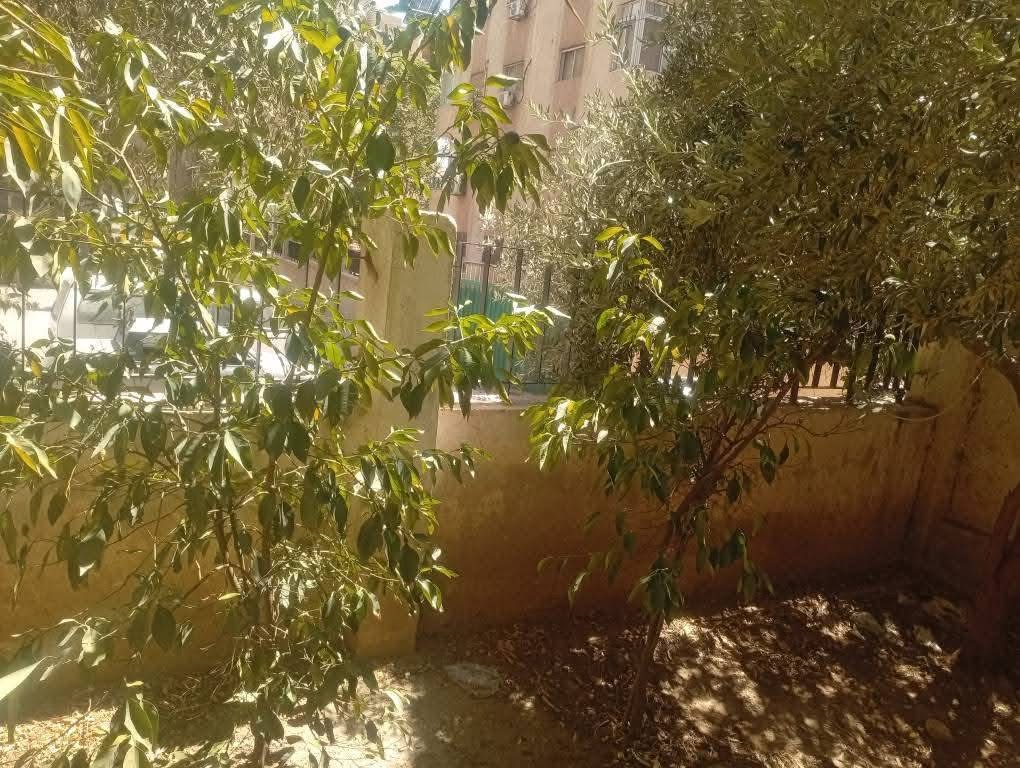للبيع شقة حاميش جانب البنك سوريا والخليج