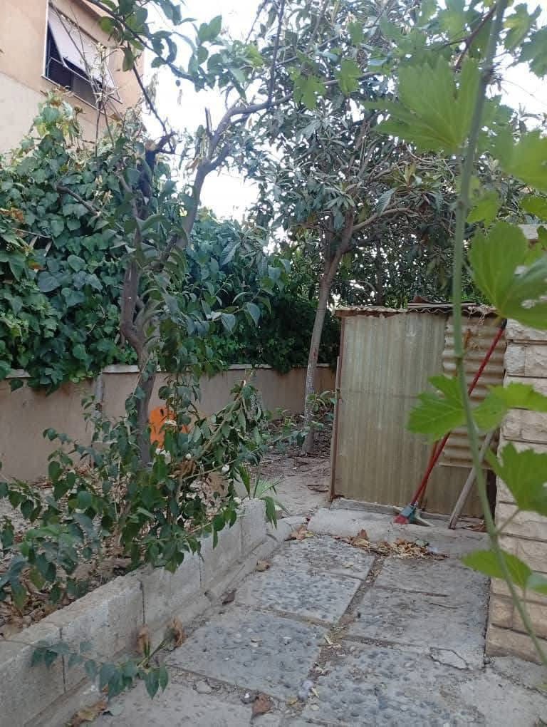 حاميش عند مطعم حكاية جبل ابنية حي المنارة