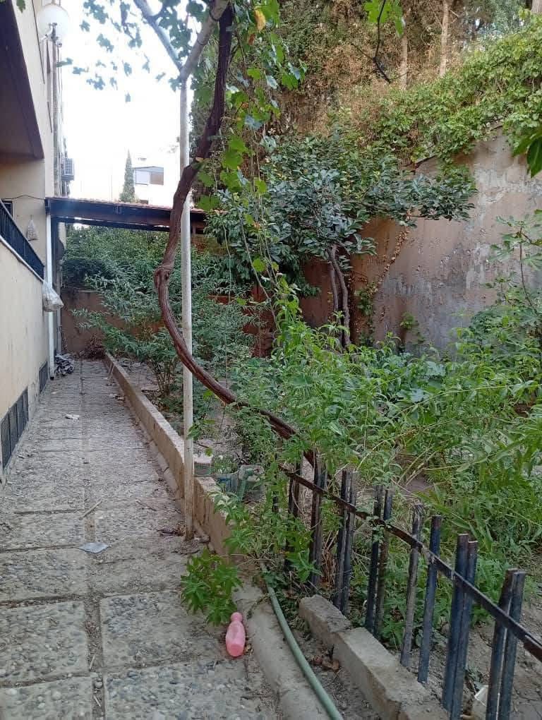 حاميش عند مطعم حكاية جبل ابنية حي المنارة