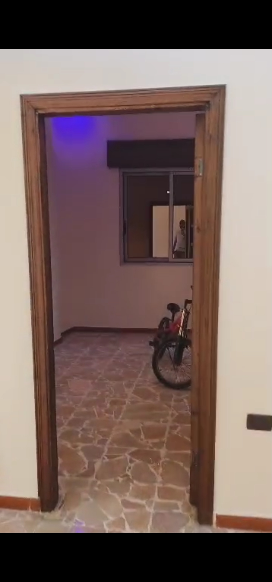 شقه طابو اخضر