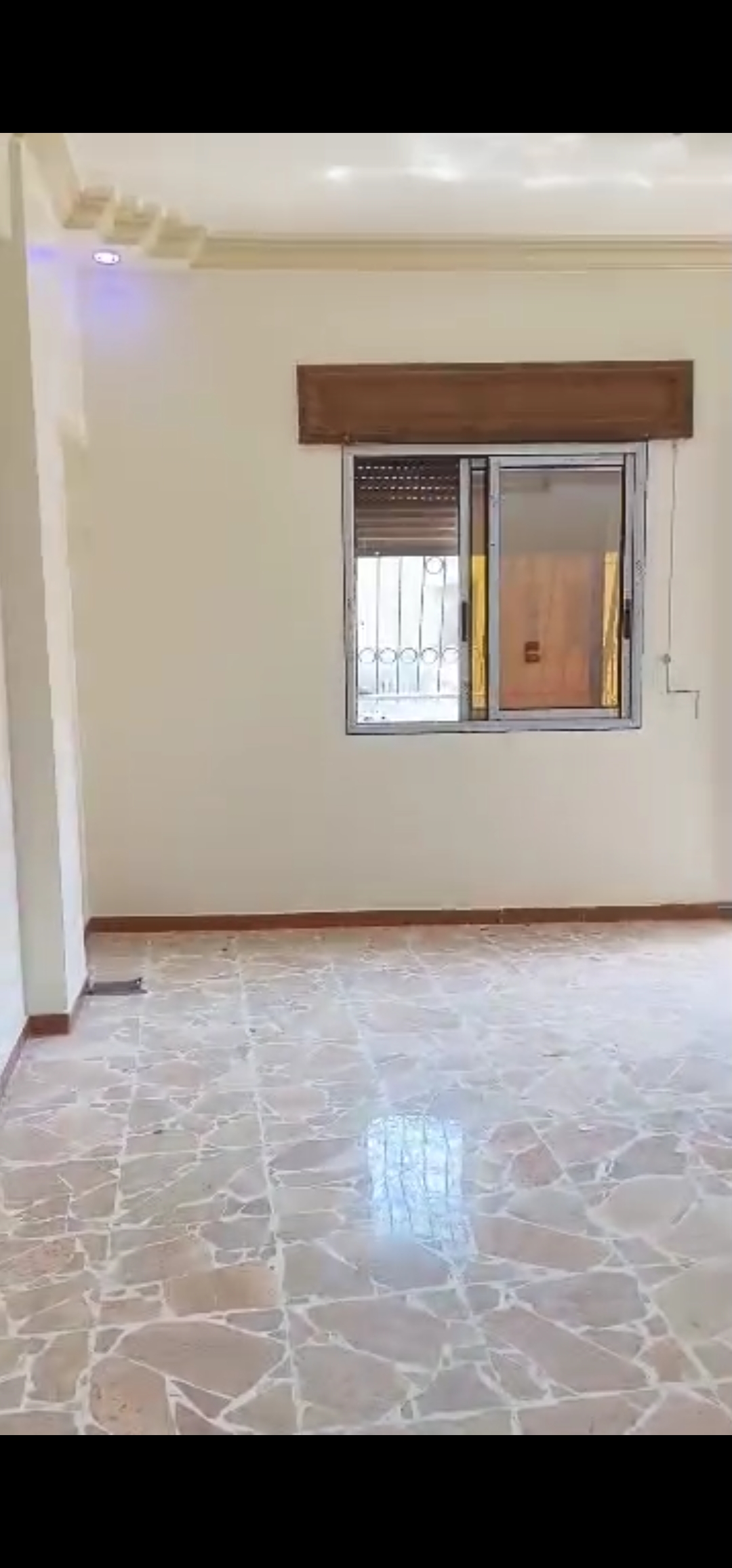 شقه طابو اخضر
