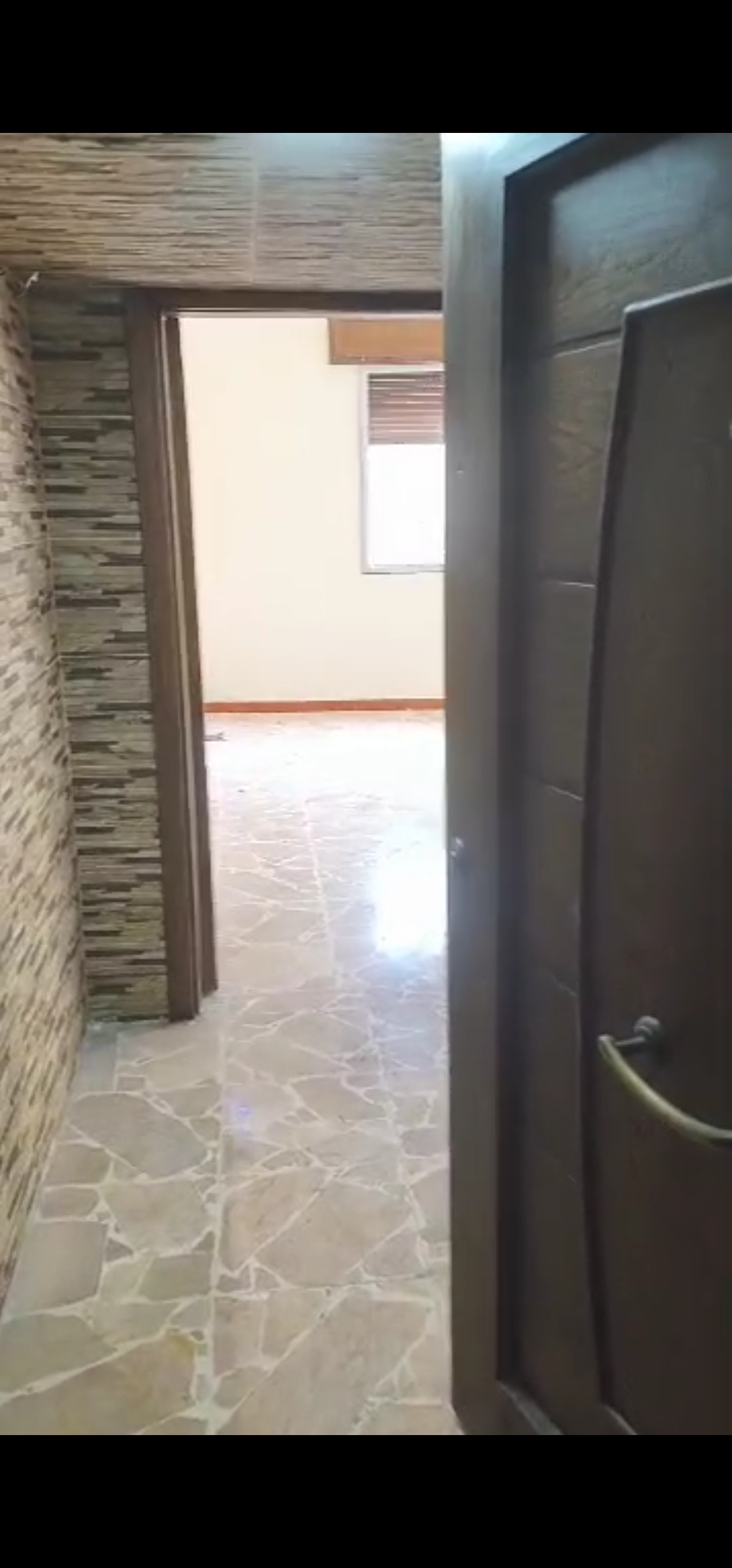 شقه طابو اخضر