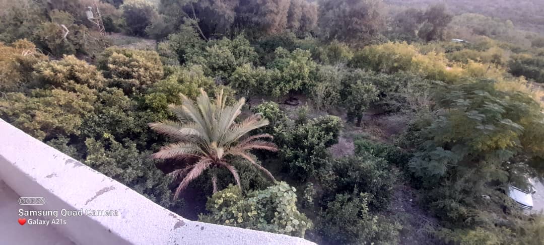 مطعم شعبي مؤلف من طابقين و يعلوه منزل سكني مساحة طابقية ٣٥٠ م2