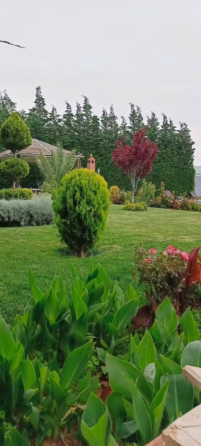 مزرعة للايجار اليومي والاسبوعي